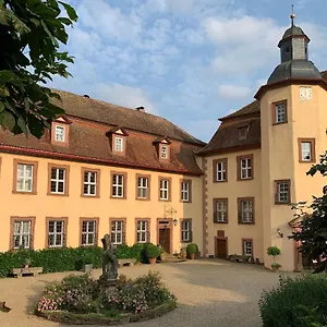 Private In Historic Castle From 1608 With Tenniscourt Zeitlofs